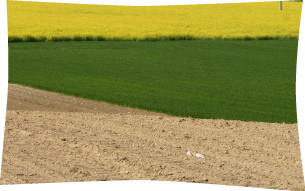 agricoltura.jpg